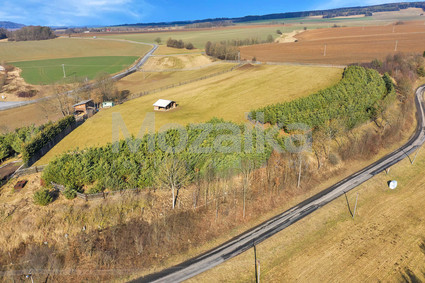 Pozemek pro bydlení s vlastním lesem na okraji Borušova. CP 21.700m2
